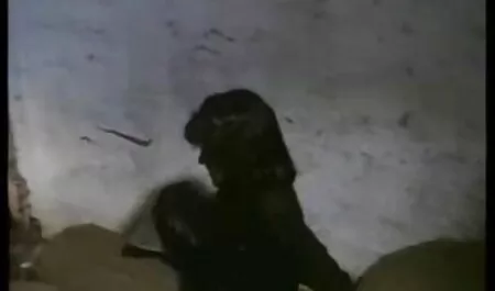 Sexy junge fette Brünette mit www deutsche fickfilme de rasierter Muschi saugt zwei Jungs gleichzeitig ab